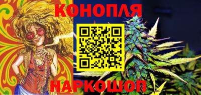 крисы Партизанск